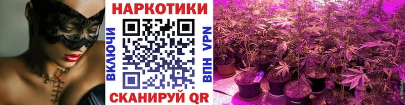 Купить наркоту Зима МАРИХУАНА Амфетамин Гашиш A PVP МЕФ Cocaine