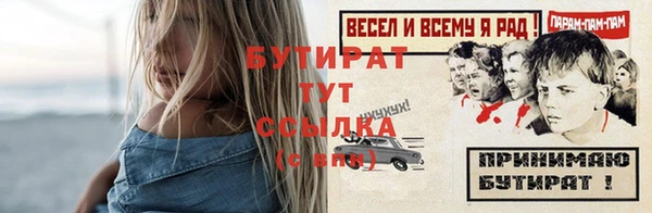 индика Нягань