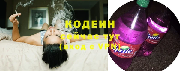 эйфоретик Няндома