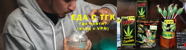 индика Нягань