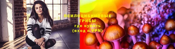 индика Нягань