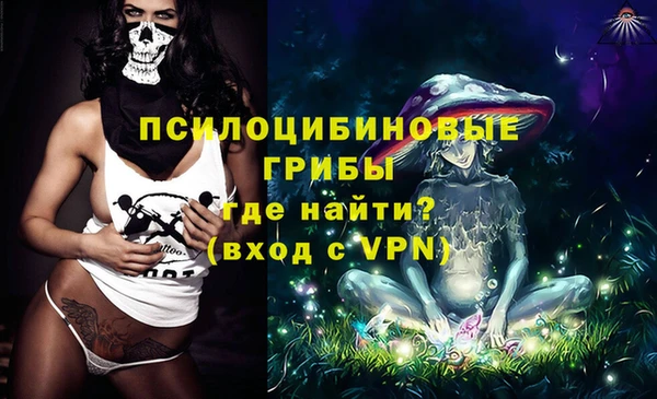 индика Нягань