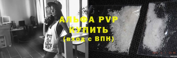 эйфоретик Няндома