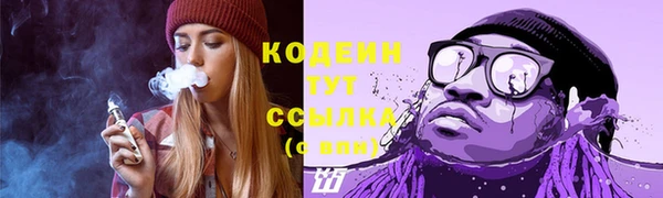 индика Нягань