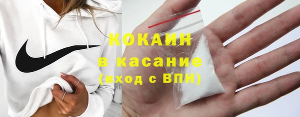 эйфоретик Няндома