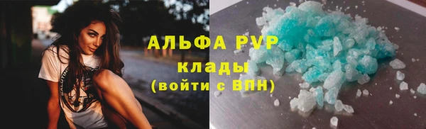 эйфоретик Няндома
