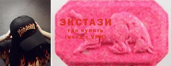 индика Нягань