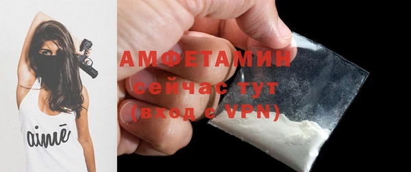 индика Нягань