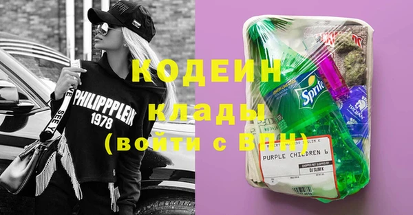 индика Нягань