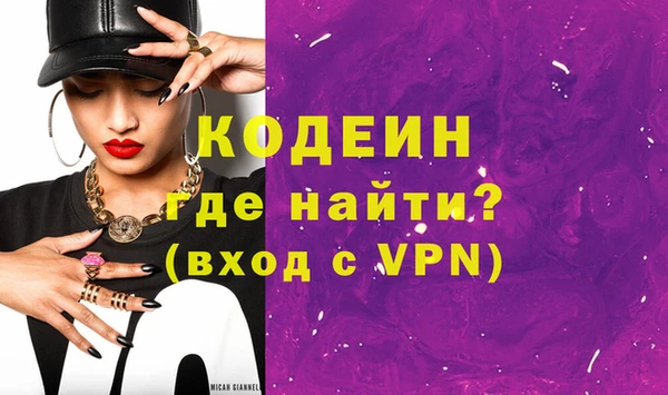 индика Нягань