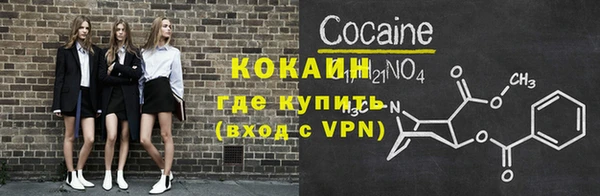 индика Нягань