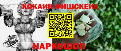дмт Гатчина