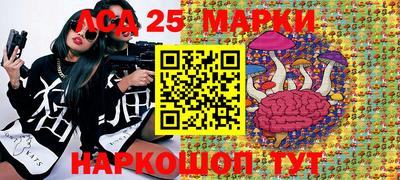 ешки Гай