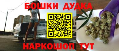 ешки Гай