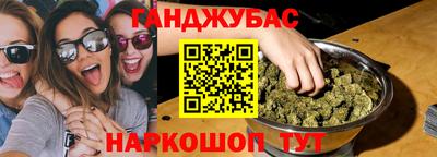 дмт Гатчина