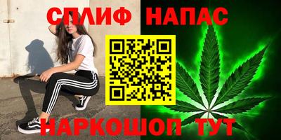 ешки Гай