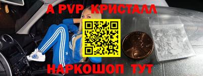 ешки Гай