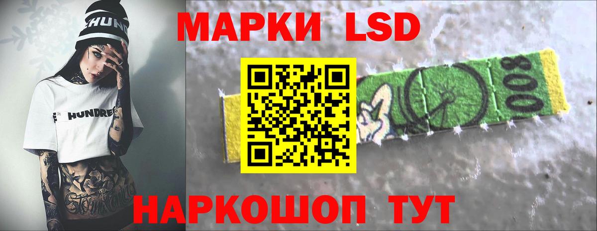 Альфа ПВП Зима