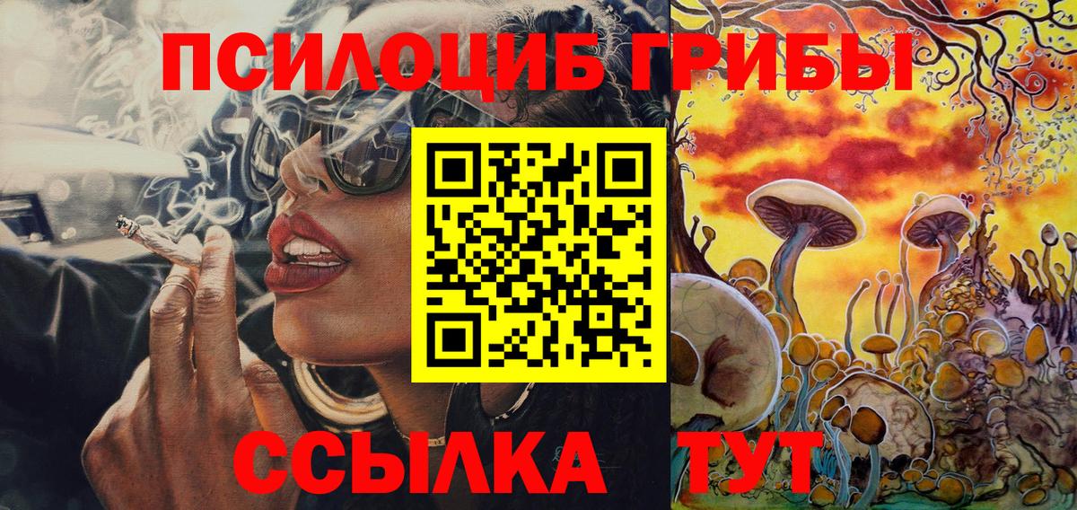 Галлюциногенные грибы MAGIC MUSHROOMS Зима