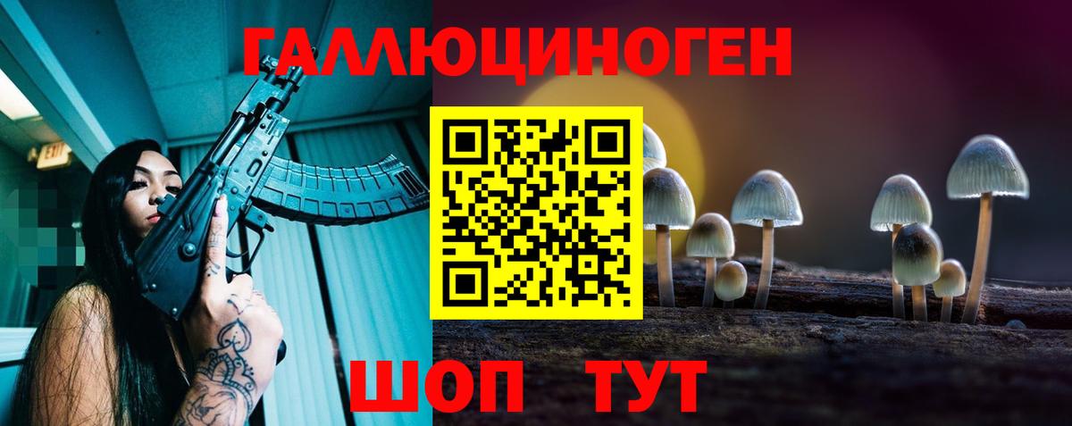 Галлюциногенные грибы Psilocybe  Вход с VPN  Зима 